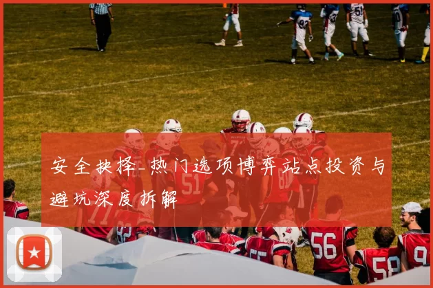安全抉择_热门选项博弈站点投资与避坑深度拆解
