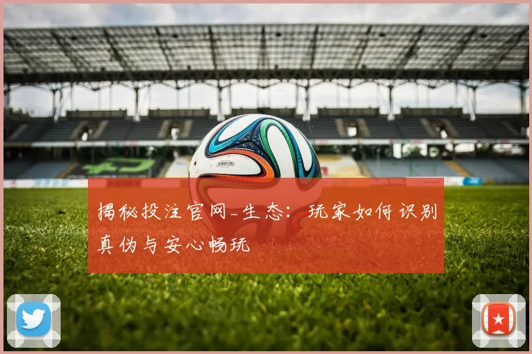 揭秘投注官网_生态：玩家如何识别真伪与安心畅玩