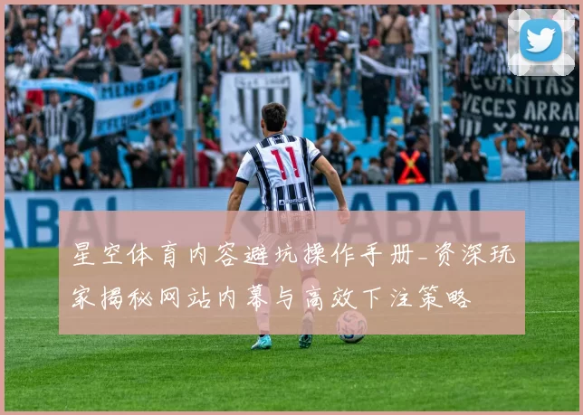 星空体育内容避坑操作手册_资深玩家揭秘网站内幕与高效下注策略