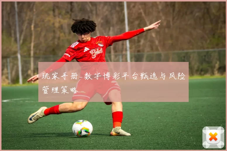玩家手册_数字博彩平台甄选与风险管理策略
