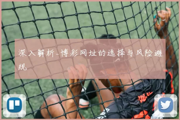 深入解析_博彩网址的选择与风险避规