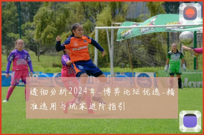 透彻分析2024年_博弈论坛优选_精准选用与玩家进阶指引