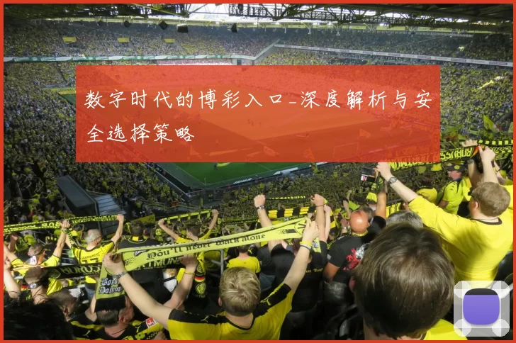 数字时代的博彩入口_深度解析与安全选择策略