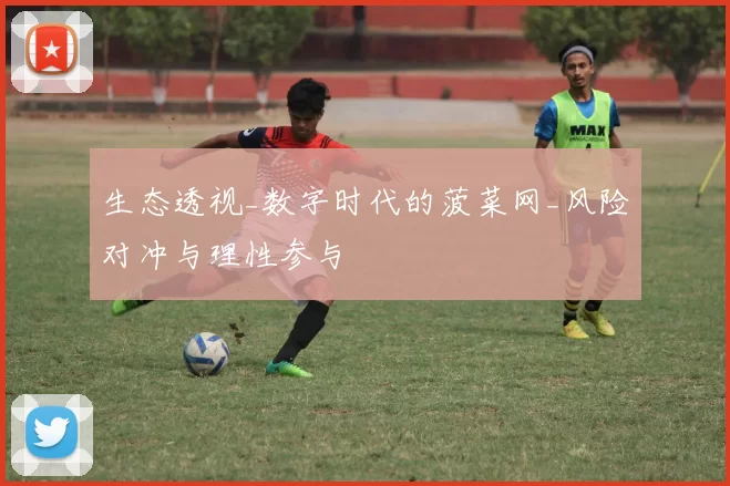 生态透视_数字时代的菠菜网_风险对冲与理性参与