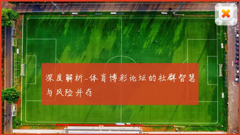 深度解析_体育博彩论坛的社群智慧与风险并存