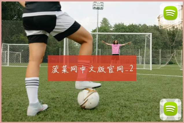 菠菜网中文版官网_2