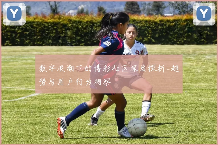 数字浪潮下的博彩社区深度探析_趋势与用户行为洞察