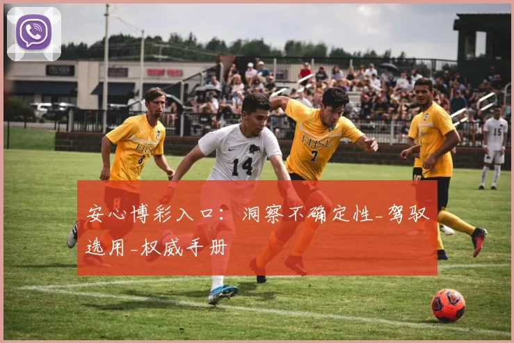 安心博彩入口：洞察不确定性_驾驭选用_权威手册